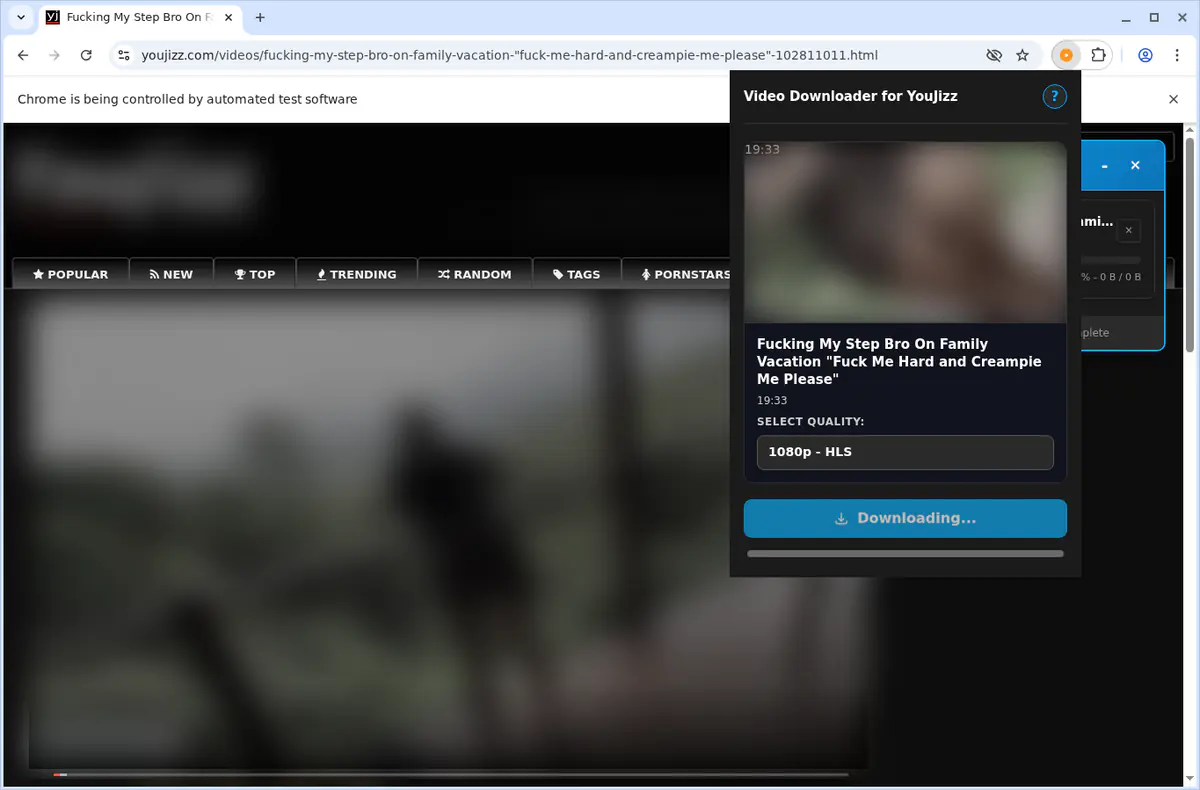 Youjizz Video Downloader browser extension screenshot 3