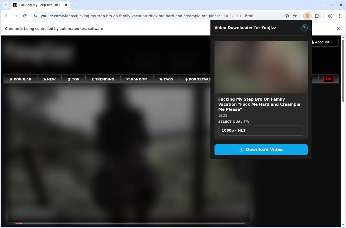 Youjizz Video Downloader browser extension screenshot 4