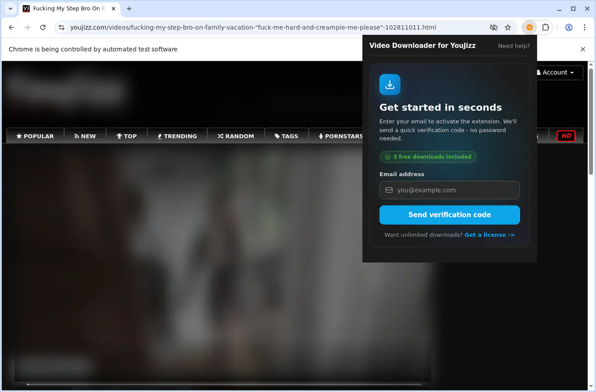 Youjizz Video Downloader browser extension screenshot 6